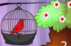 Giochi spaziali : Red Bird Escape