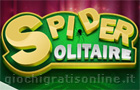  Spider Solitaire