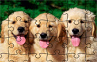  Jigsaw Puzzle: Doggies