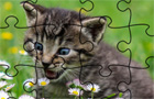  Jigsaw Puzzle: Cats