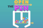  Open The Pin