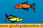  Fishy Sea