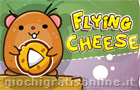  Flying Cheese