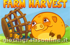  Mango Piggy Piggy Farm Harvest
