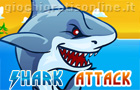  Shark Attack