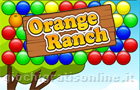  Orange Ranch