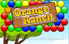 Giochi di simulazione : Orange Ranch