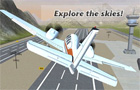  Free Flight Sim