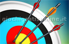  Master Archery Shooting